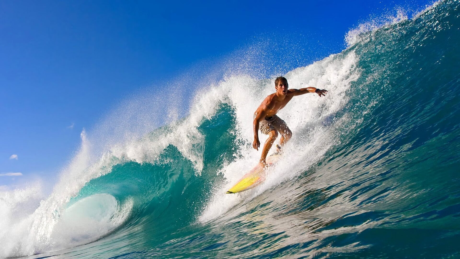 Scout遭遇七连败，IG教练面临压力！